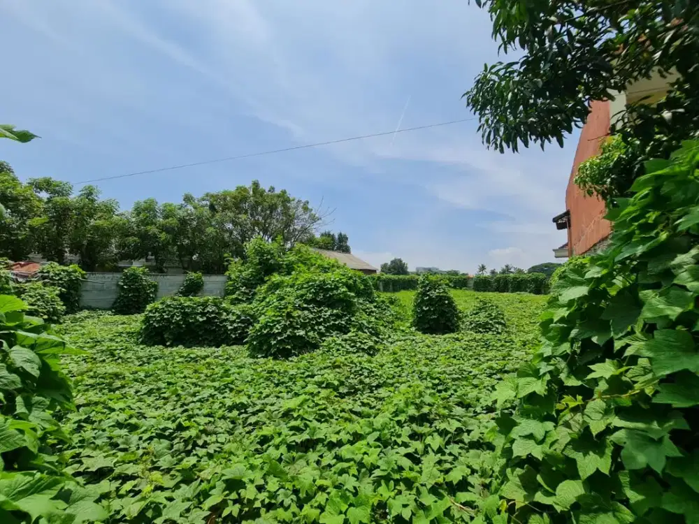 Tanah Kavling di Bojong Renget, Teluk Naga Tangerang luas 705m2