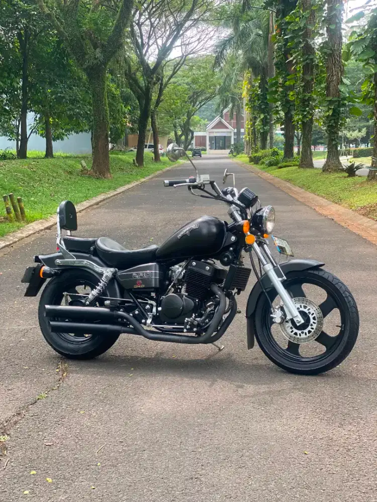 Benelli PE patagonian eagle karbu 2024