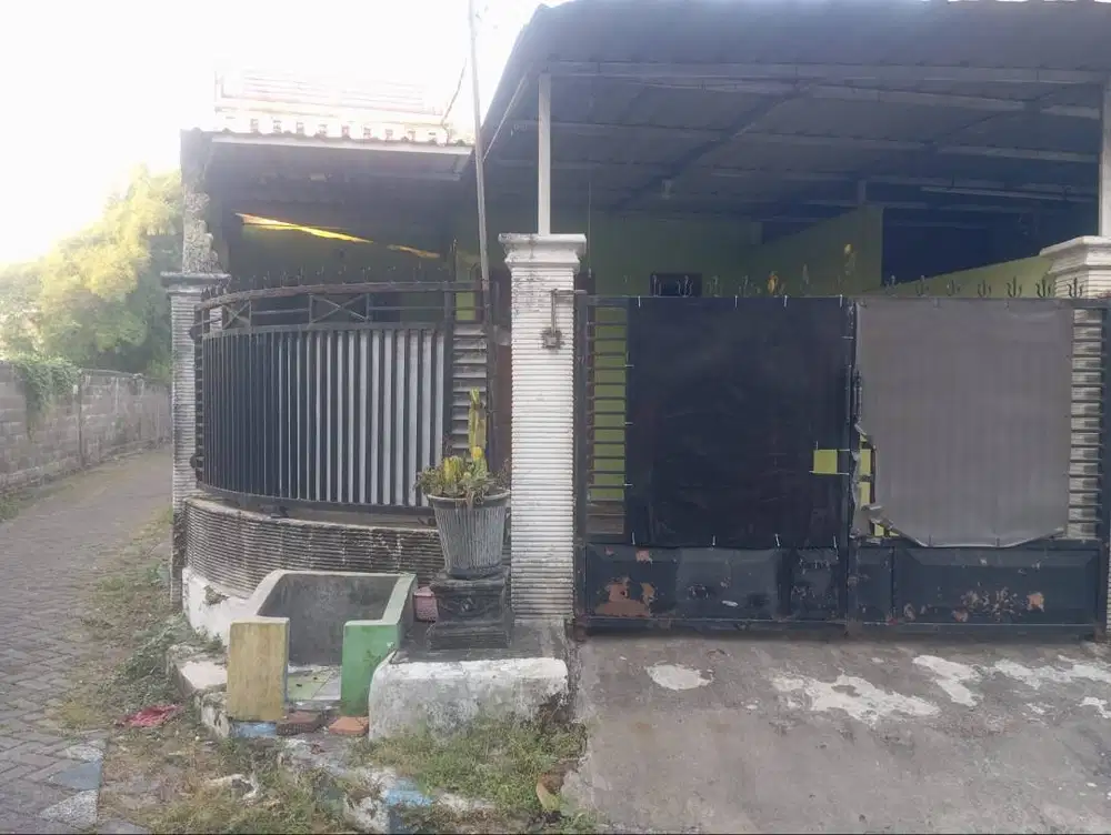 Disewakan Rumah di lingkungan yang sejuk banyak pohon dan kicau burung