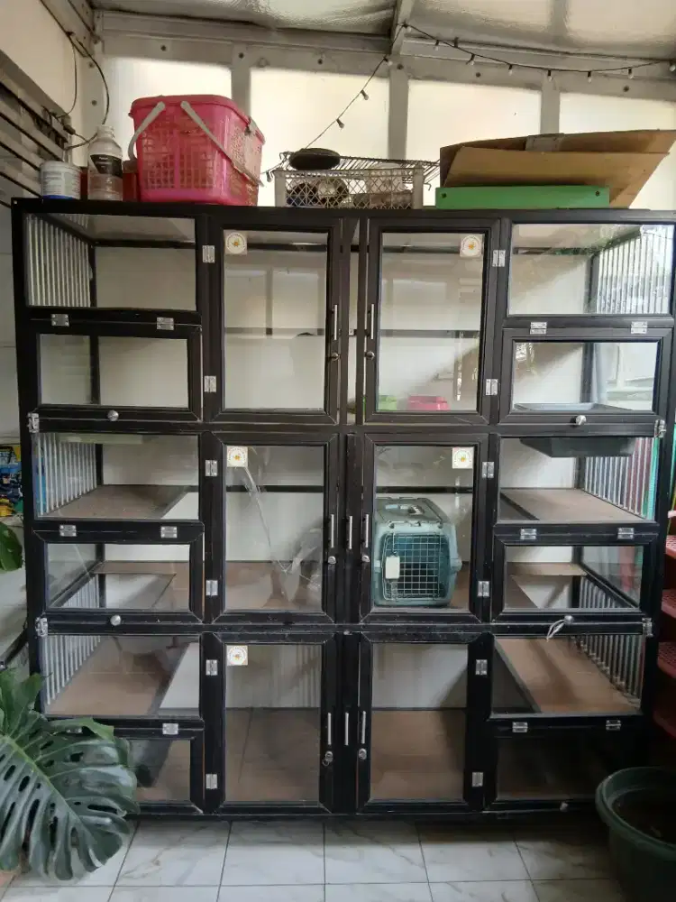 Kandang kucing lantai keramik