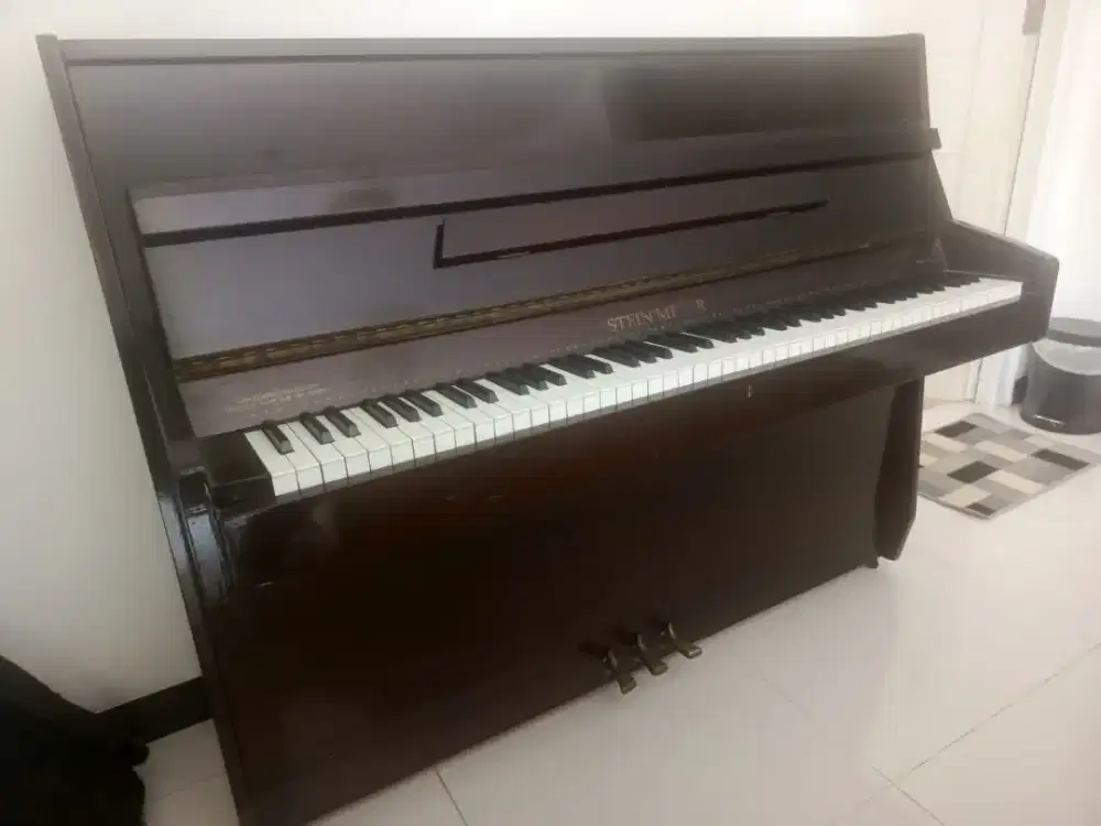 Piano Petrof Steinmeyer