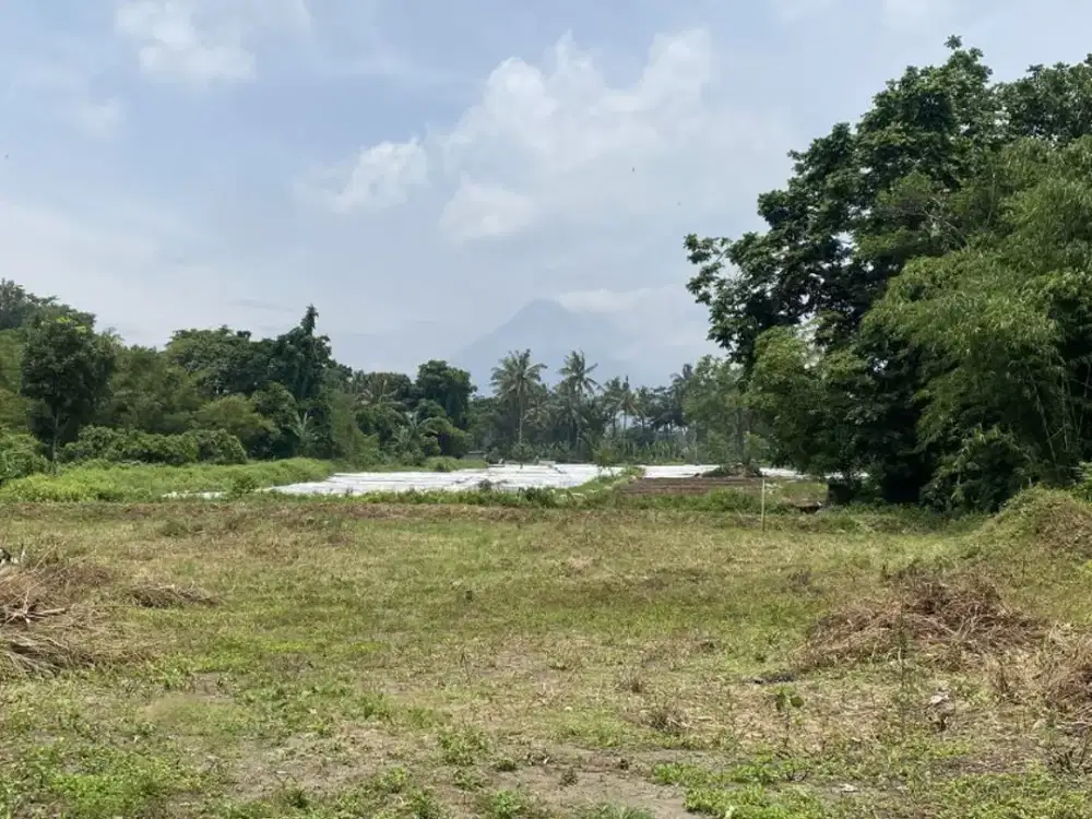 Dekat Wisata Merapi Jogja Tanah Apik Cocok Homestay pun Villa