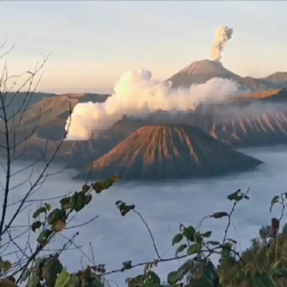 Paket tour wisata