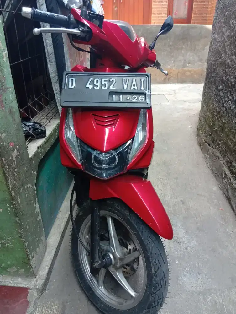 Beat karbu merah