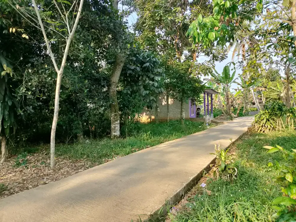 Dijual lahan kebun produktif dan dekat ke penduduk