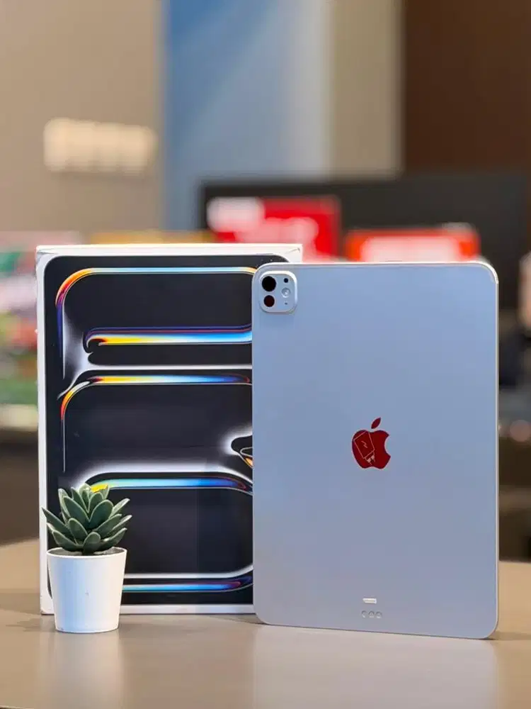 IPad Pro M5 256GB 11 inch ibox bh 100%