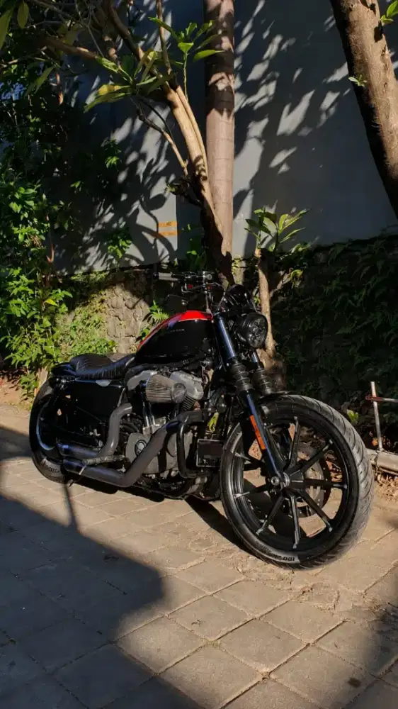 Sportster Nightster MY2010 Low Odo !!!