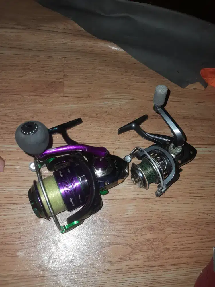 Reel sougaliyang dan goldsharking