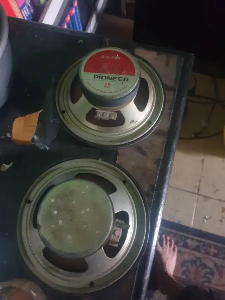 speaker pioneer