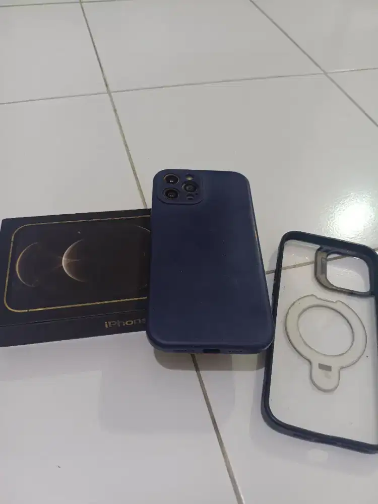 iPhone 12 pro max