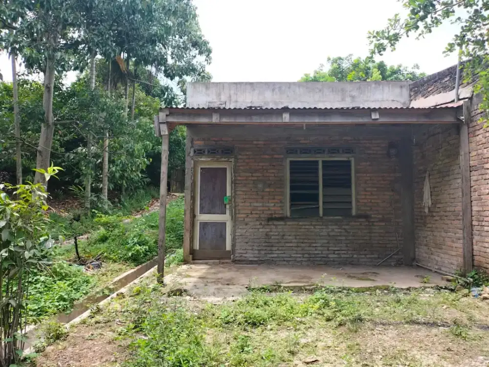 JUAL TANAH DAN BANGUNAN (GUDANG)