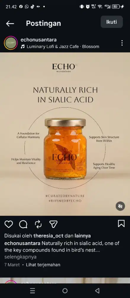 ECHO NUSANTARA MINUMAN SARANG WALET