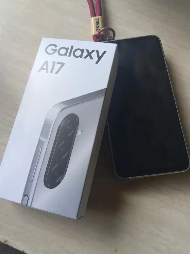 Samsung A17 8/256