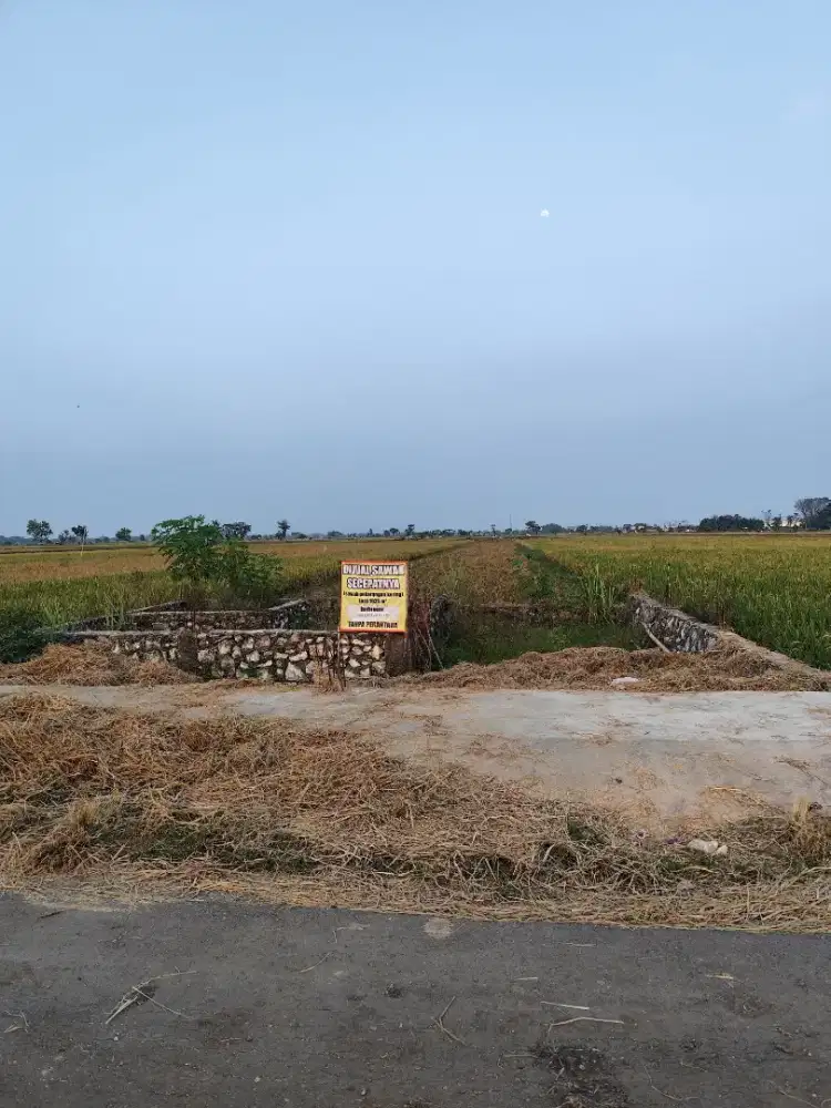 Jual Secepatnya Tanah area Sukoharjo
