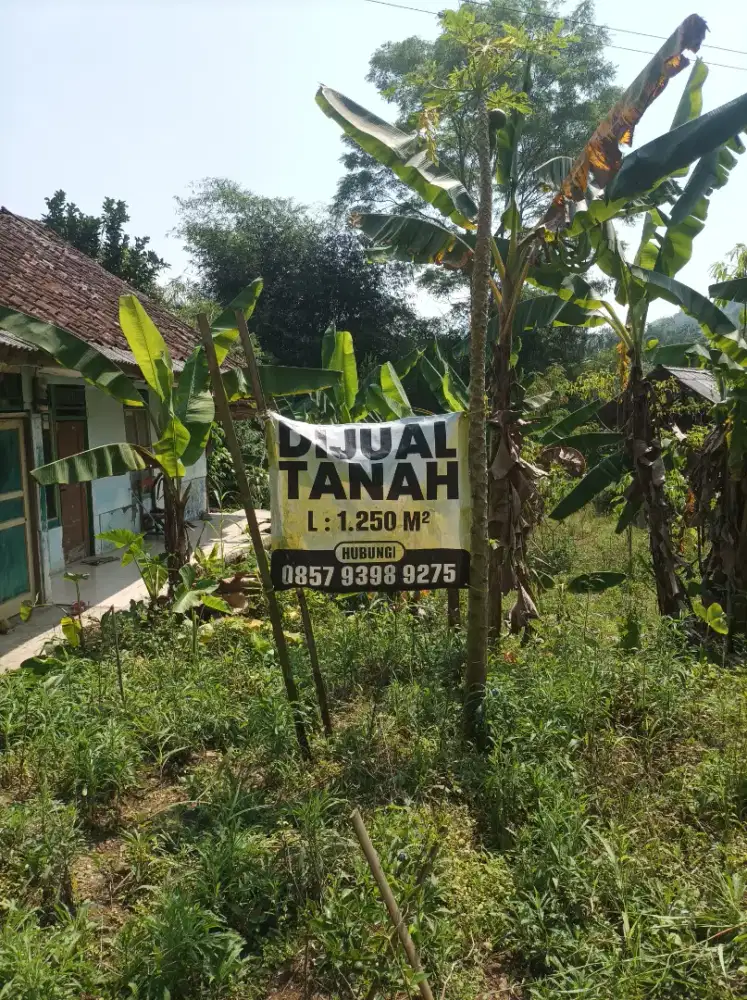 Jual tanah pinggir jalan