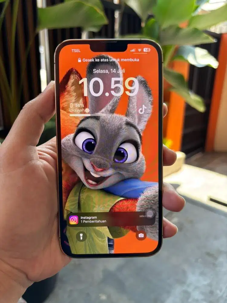 iPhone 13 Pro max 128GB Ex Garansi iBox
