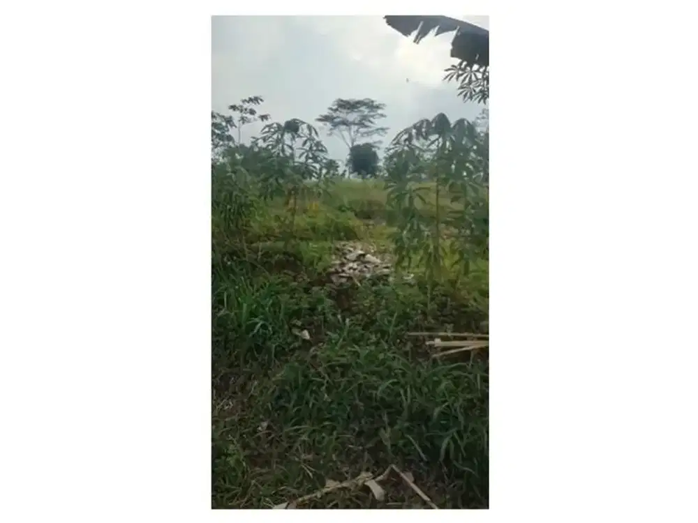 Jual Tanah Padalarang 1.876 m² Strategis Cocok Investasi Murah