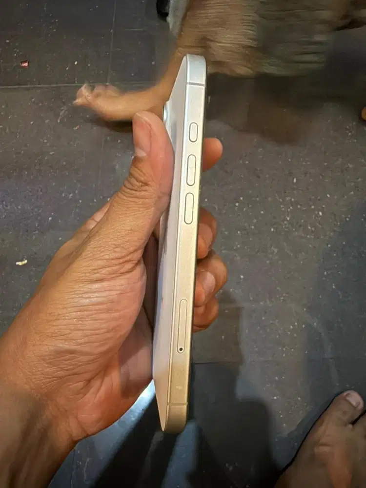 Apple Iphone 17 Basic Digimap