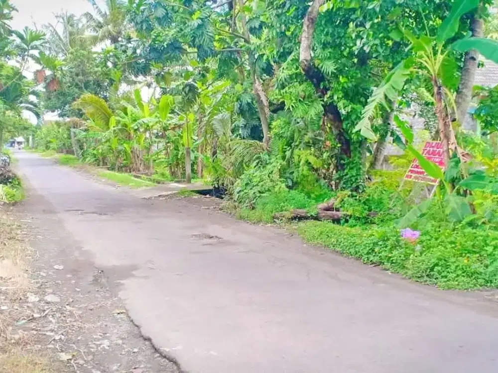 Tanah SHM 1197 m2 di Tepi Jl Kadisoka Tajem Depok, Dekat Unriyo, Sanata Dharma, Jogja Bay, Stadion Maguwoharjo, Pasar Stan, Lottemart, Cocok Gudang