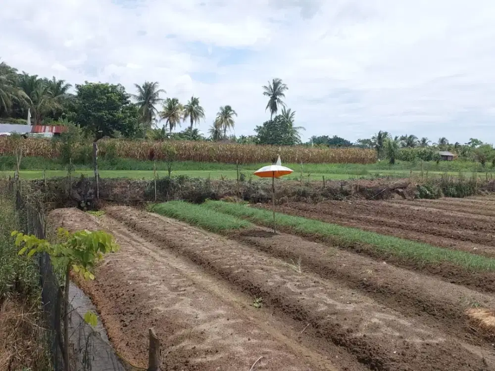 JUAL TANAH KOSONG