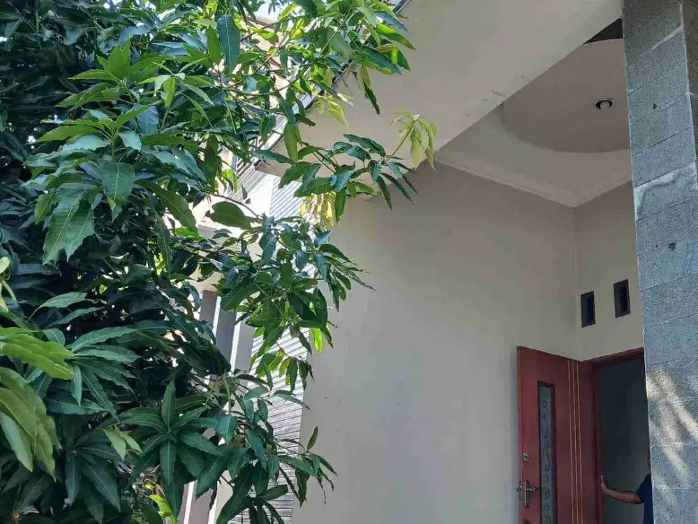dijual rumah cantik 2 lantai  siap huni di puspanjolo semarang barat