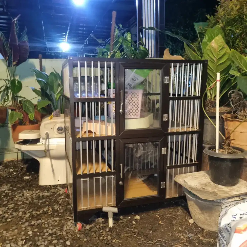 Kandang Kucing 2 Kamar