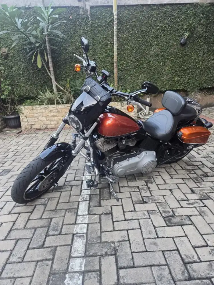 Softail blackline 2011
