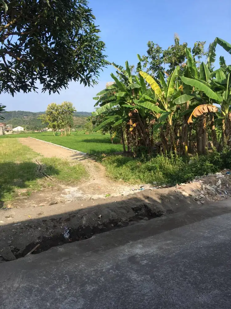 ‎Bismillah, di Jual tanah sawah Jambidan Banguntapan kab Bantul 34m da