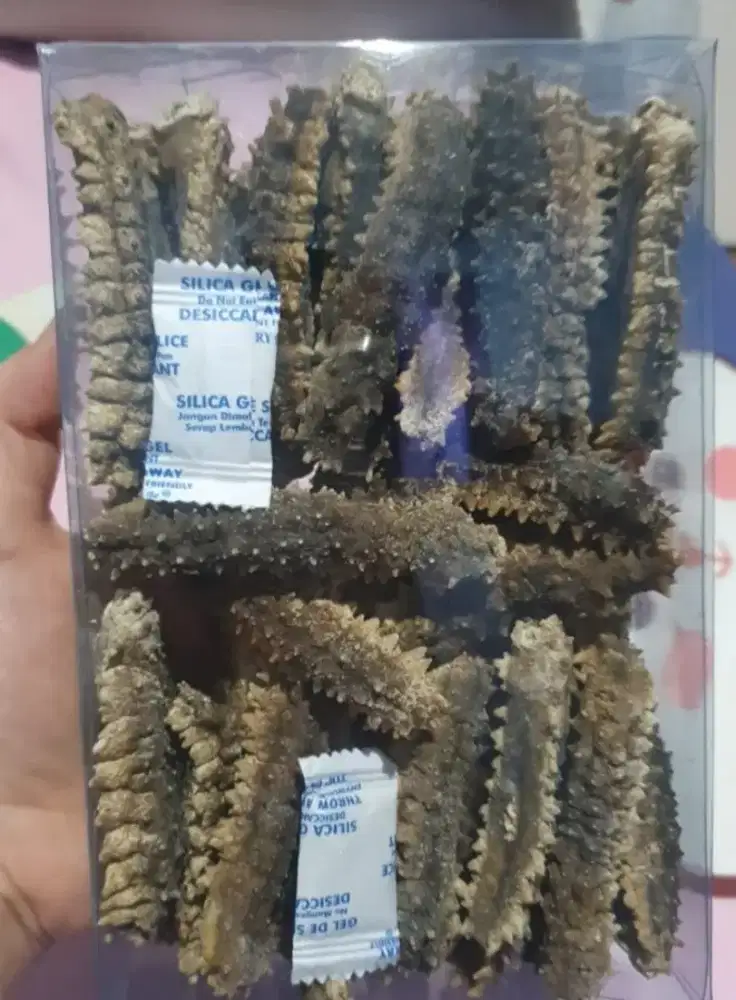 Jual Hoisom Duri