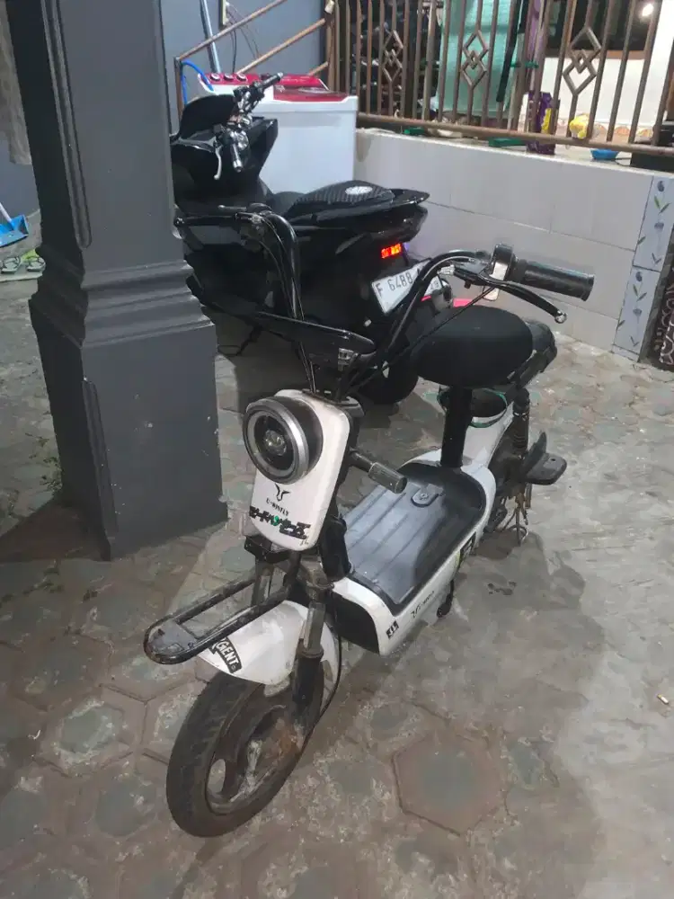 Selis uwinfly rf 5 2024