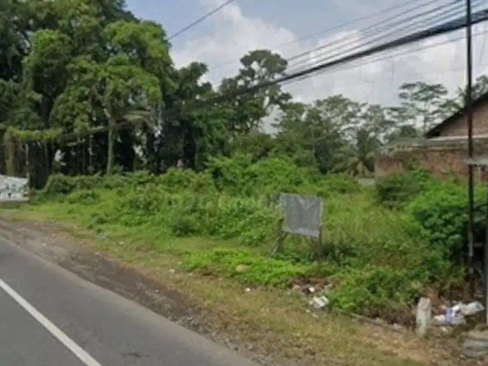 Tanah Strategis Lokasi Jalan Raya Grabag - Secang , Magelang