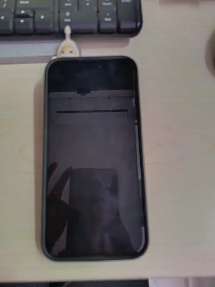 IP 15 Promax (second)