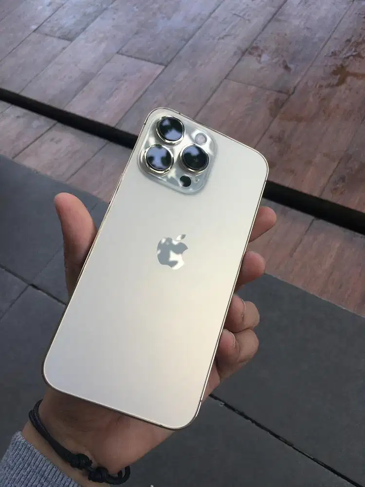 iPhone 13 Pro 256