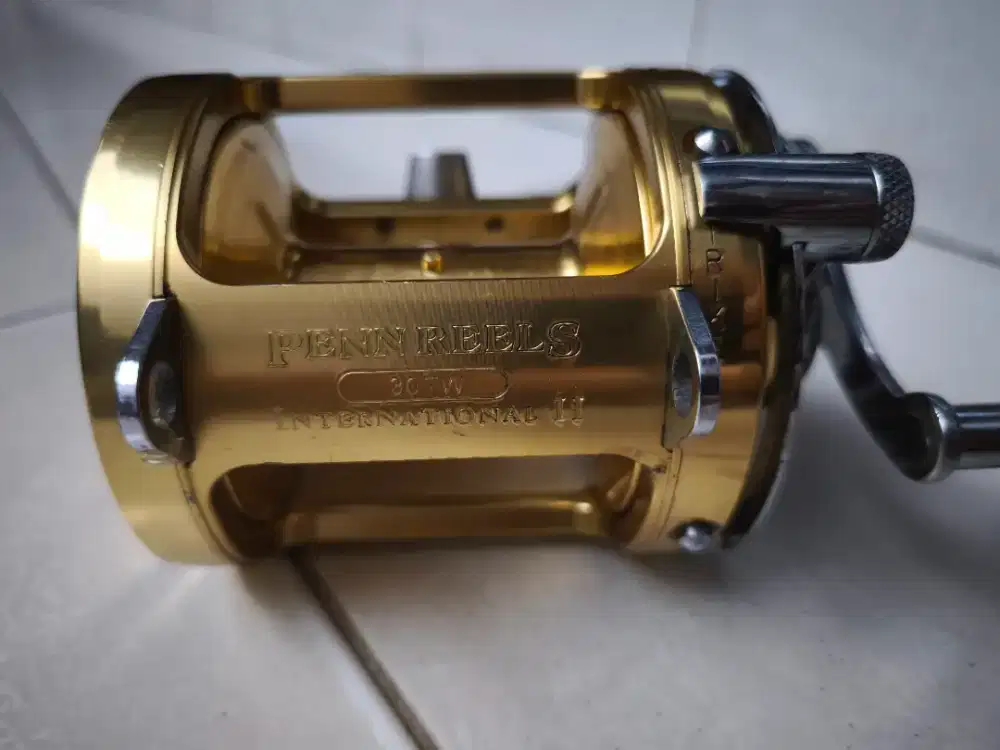 PENN Reels Internasional II 30TW