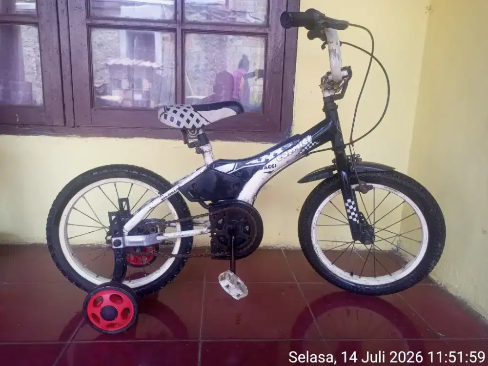 Sepeda anak aloeca