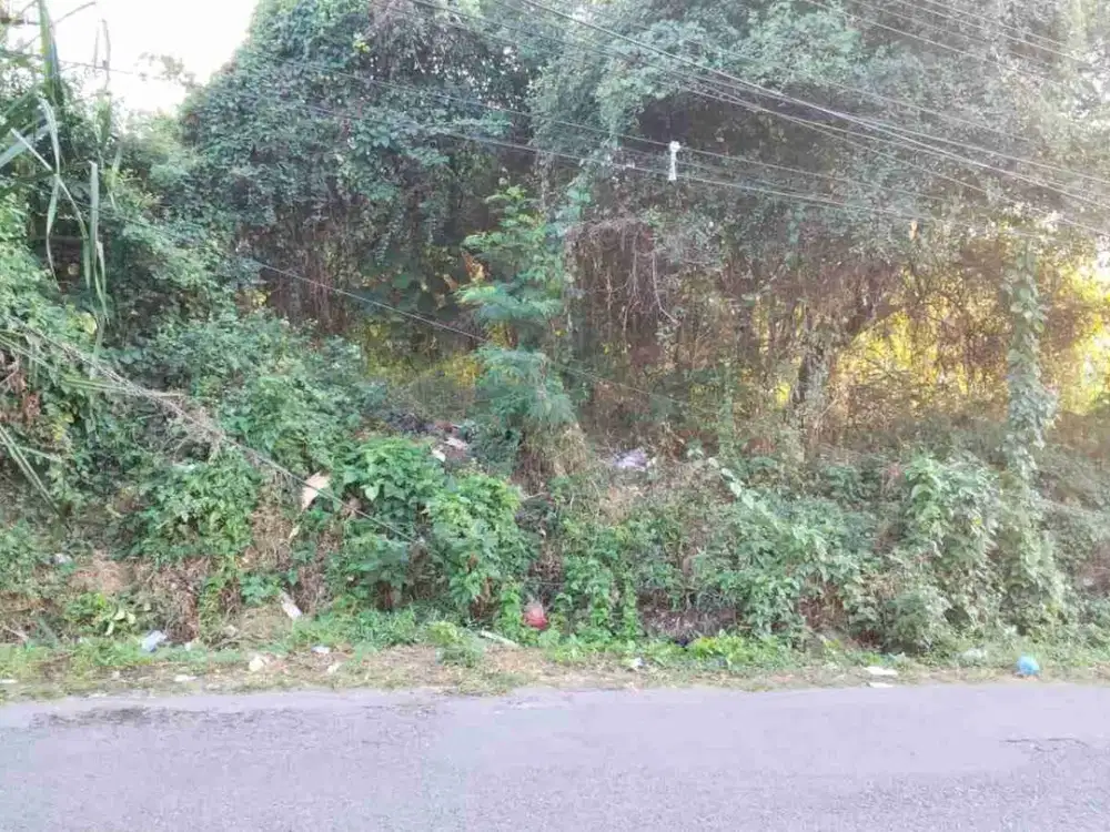 tanah pinggir jalan cocok untuk usaha