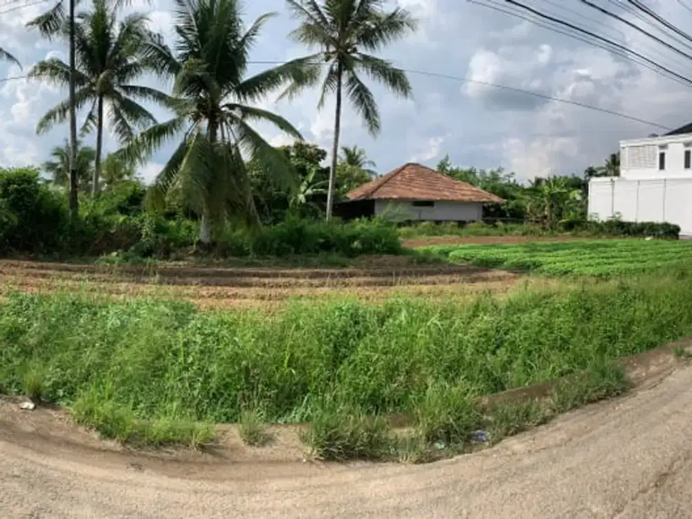Dijual Cepat Lahan Siap Bangun Lorong Bidan Talang Keramat Banyuasin Palembang