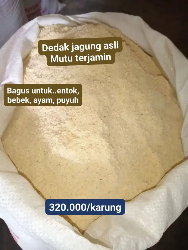 Dedak jagung bermutu