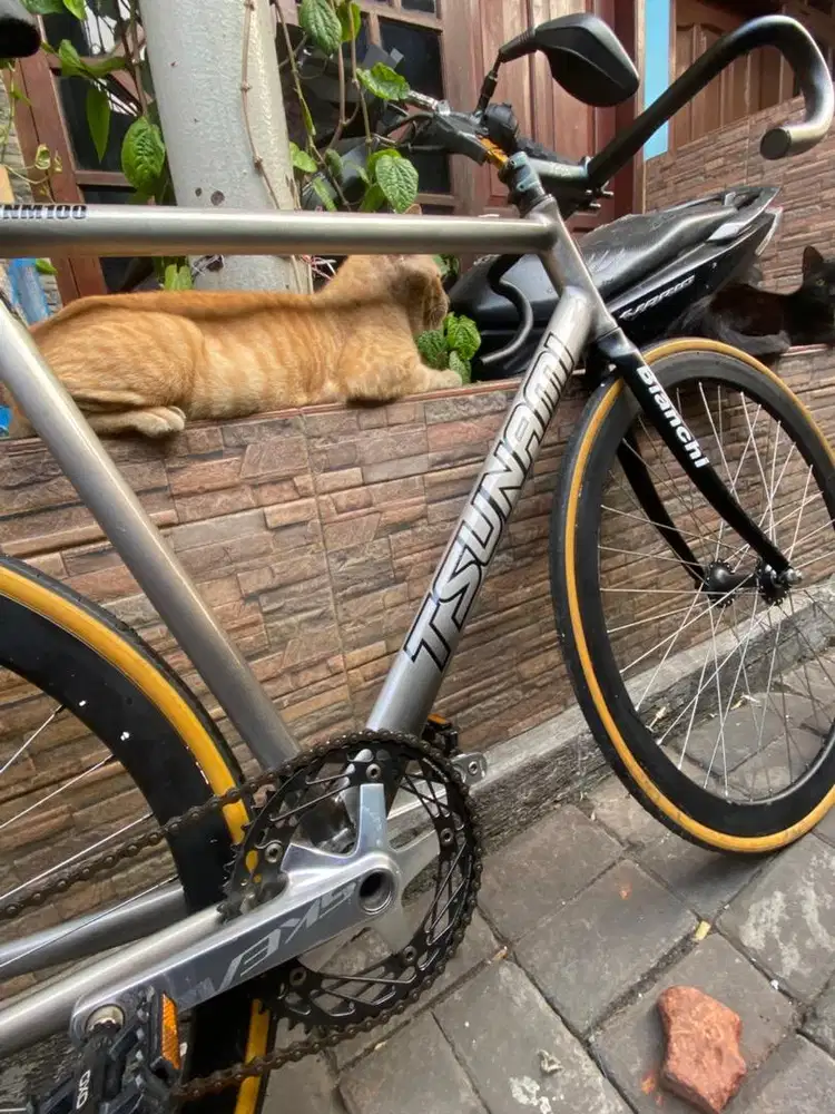 Fixie Tsunami SNM100 size XL ori