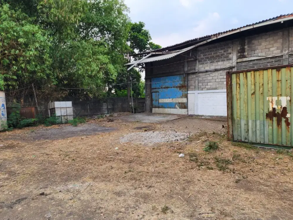 Gunung gangsir desa jejeran beji pasuruan