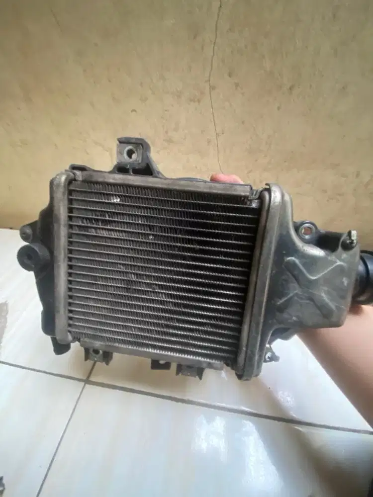 Radiator vario 2018 original