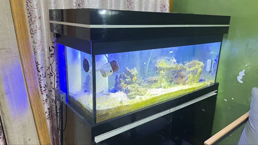 AKUARIUM IKAN AIR LAUT ATAU IKAN TAWAR SATU SET PERALATAN (120X50 CM)