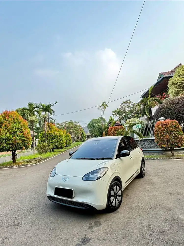 Binguo EV Premium Ranger 410 Type Tertinggi Siap Pakai