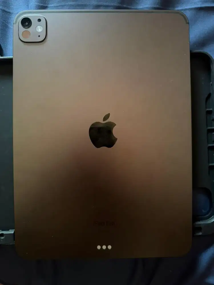 DIJUAL IPAD PRO M4 11 inch 256 GB