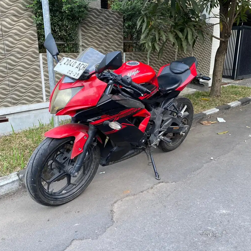 Kawasaki Ninja Mono 250SL 2017