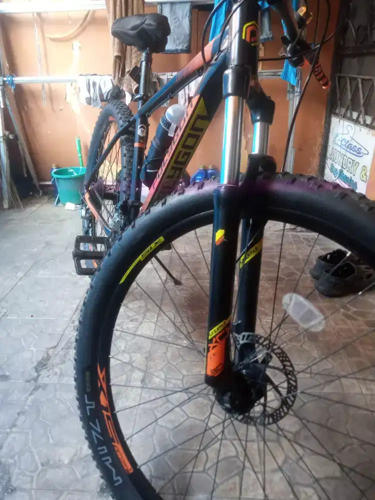 Polygon primier 5