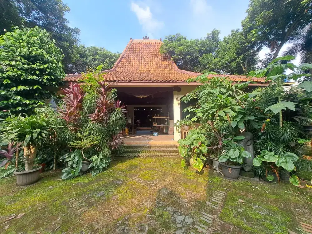 Rumah Tua 1 Lantai 5+1 Kamar Hadap Barat di Sektor 9