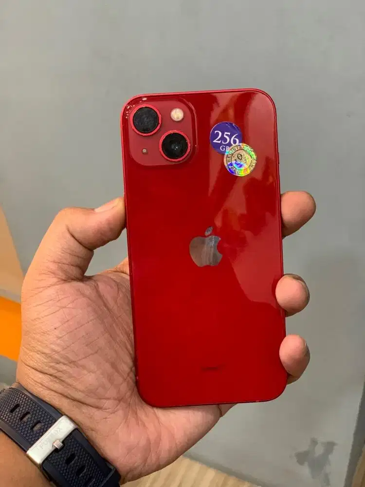 13 Basic 256gb beacukai