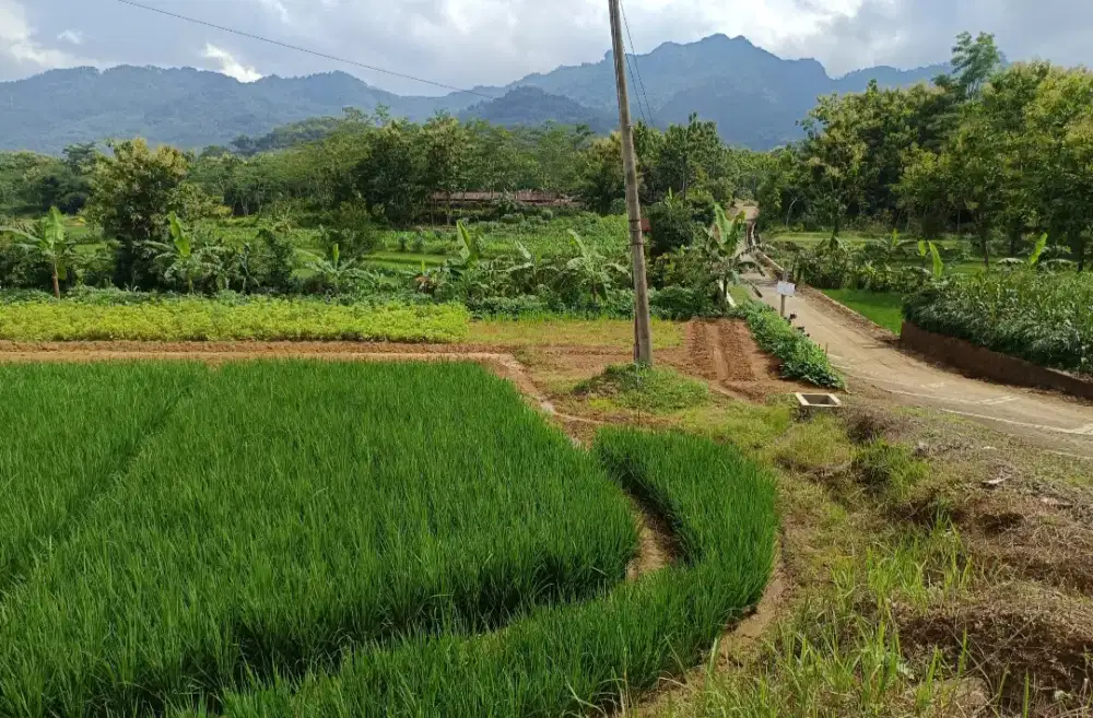Jual Tanah Pinggir Jalan