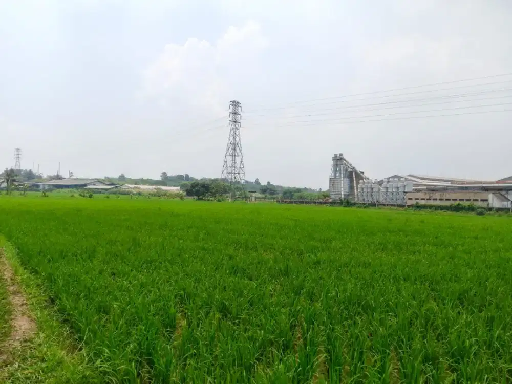Dijual Tanah Karawang Timur 10Ha di Jl Raya Curug By Rumah Chinida (Lv)